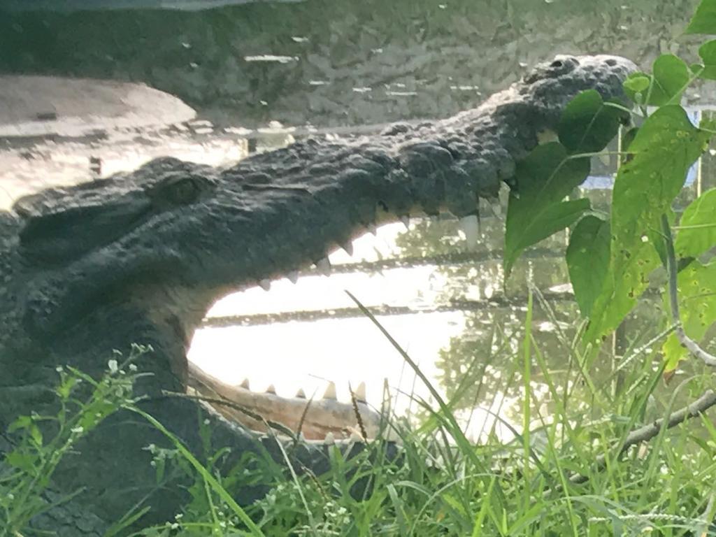 Villas Vallazoo Popola المظهر الخارجي الصورة